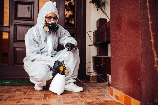 Attic and Crawl Space Rodent Treatment in Gnadenhutten