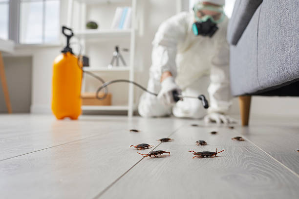 Commercial Rodent Management in Gnadenhutten